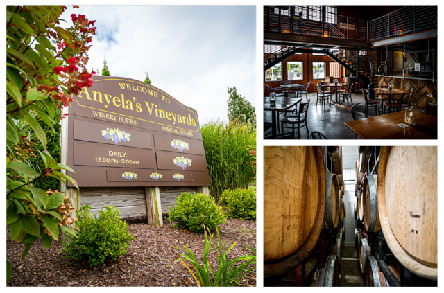 Anyelas Vineyards