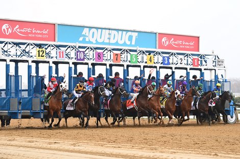 Aqueduct Racetrack thoroughbred racing Queens NY