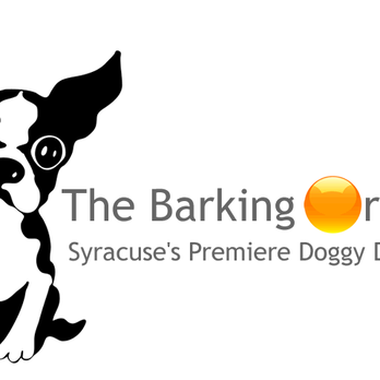 The Barking Orange, Dog daycare, grooming & training Syracuse NY