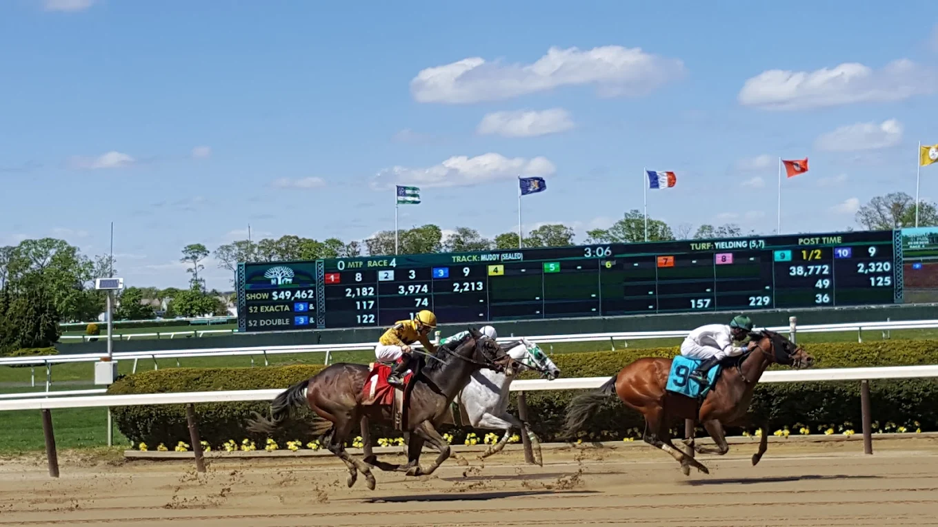 Belmont Park thoroughbred racetrack Elmont NY