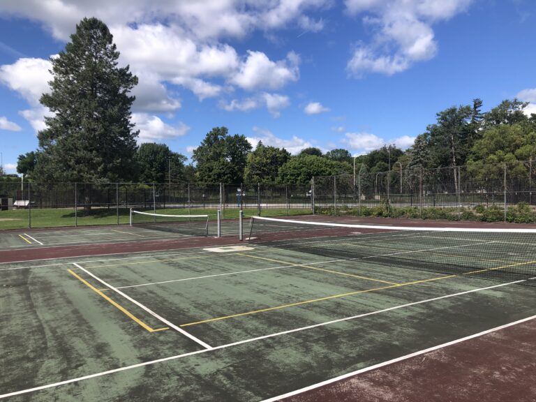 Burnet Park pickleball courts Syracuse NY