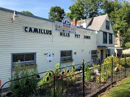 Camillus Hills Golden Pet Camillus NY