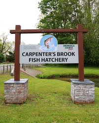Carpenter's Brook Fish Hatchery Elbridge NY