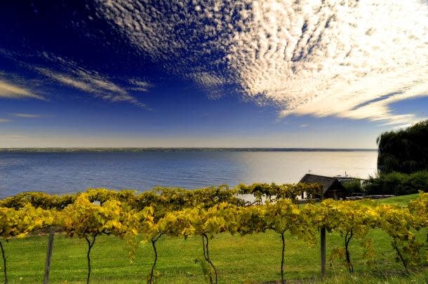 Cayuga Lake Wine Trail first in US 1983 Thirsty Owl vineyards Ithaca NY