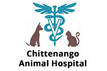 Chittenango Animal Hospital Chittenango NY