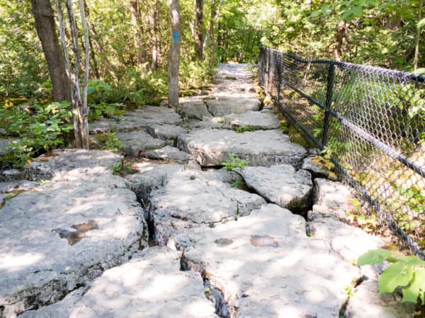 Clark Reservation State Park Jamesville NY