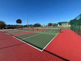 Comfort Tyler Park pickleball courts Syracuse NY