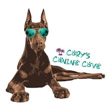 Cory’s Canine Cove Cage-free daycare Liverpool NY