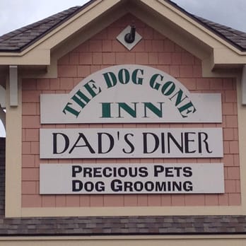 Dog Gone Inn Doggie Daycare Manlius NY