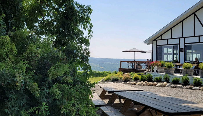 Dr Konstantin Frank Winery Tasting Room Overlooking Keuka Lake