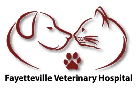 Fayetteville Veterinary Hospital Fayetteville NY