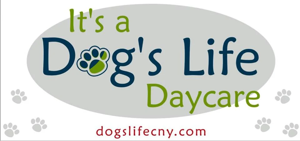 It's a Dog's Life Boarding East Syracuse NY