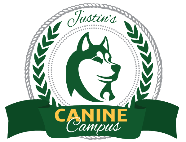 Justins Canine Campus Liverpool NY