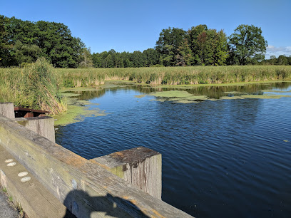 Lake Shore Marshes Wildlife Management Area Fields Hill Rd