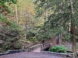 Wolf Creek flume dropping into canyon