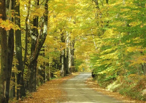Lincoln Gap rustic narrow mountain road corridor