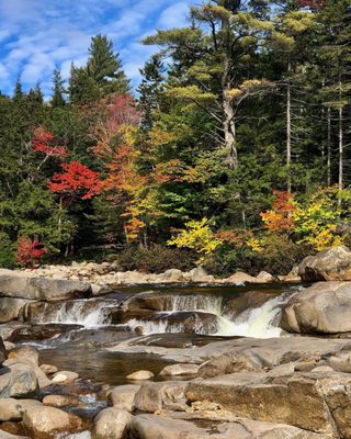 Lower Falls Scenic Area on the River