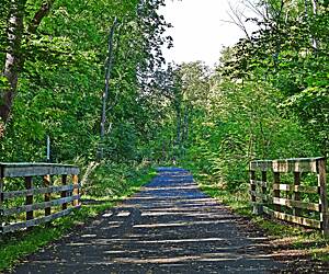 Flat boardwalk nature loop trail built for easy strolling accessibility