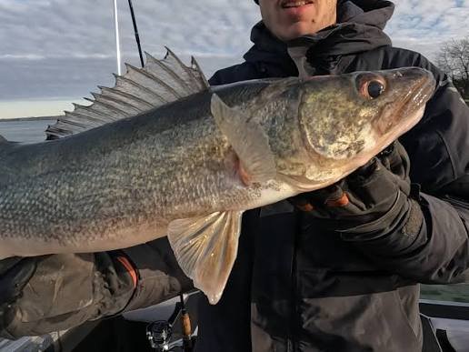 Oneida Lake walleye fishing Walleye Capital of NY