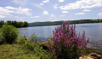 Otisco Lake Park shoreline benches NY