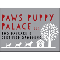 Paw's Puppy Palace Phoenix NY