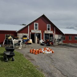 Plumpton Farms in Jamesville, NY