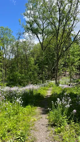Rand Tract Park in Syracuse