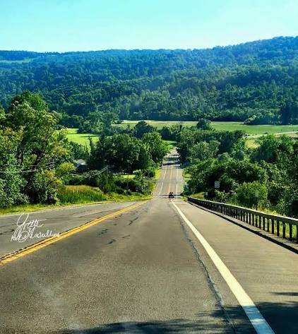 Skaneateles Lake Route 20 Corridor