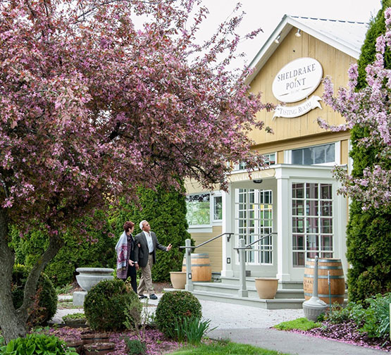 Sheldrake Point Winery Ovid, NY