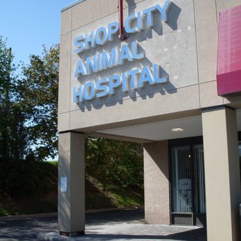 Shop City Animal Hospital Syracuse NY
