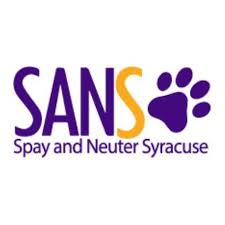 Spay and Neuter Syracuse NY
