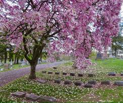 St. Joseph's Cemetery Auburn NY