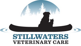 Stillwaters Veterinary Care Syracuse NY