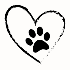 Sweet Paws Pet Grooming and Boarding Cicero NY