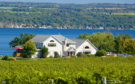 Thirsty Owl Wine Company Ovid, NY