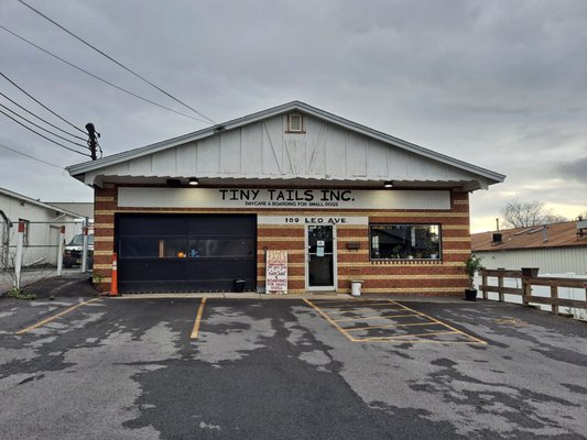 Tiny Tails Inc Syracuse NY