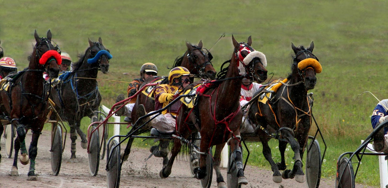 Vernon Downs harness racing track near Syracuse NY