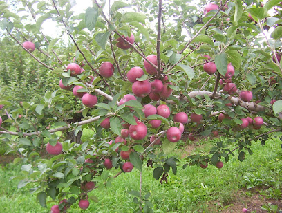 Wellwood Orchards Farm Stand