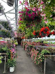 Zerrillo Gardens with premium seasonal annuals in East Syracuse